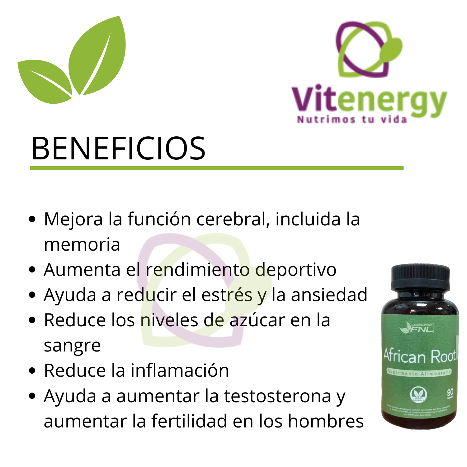 SUPLEMENTO ALIMENTICIO VITENERGY ASHWAGANDHA AFRICAN ROOT 90 CÁPSULAS FNL OFERTA - 2