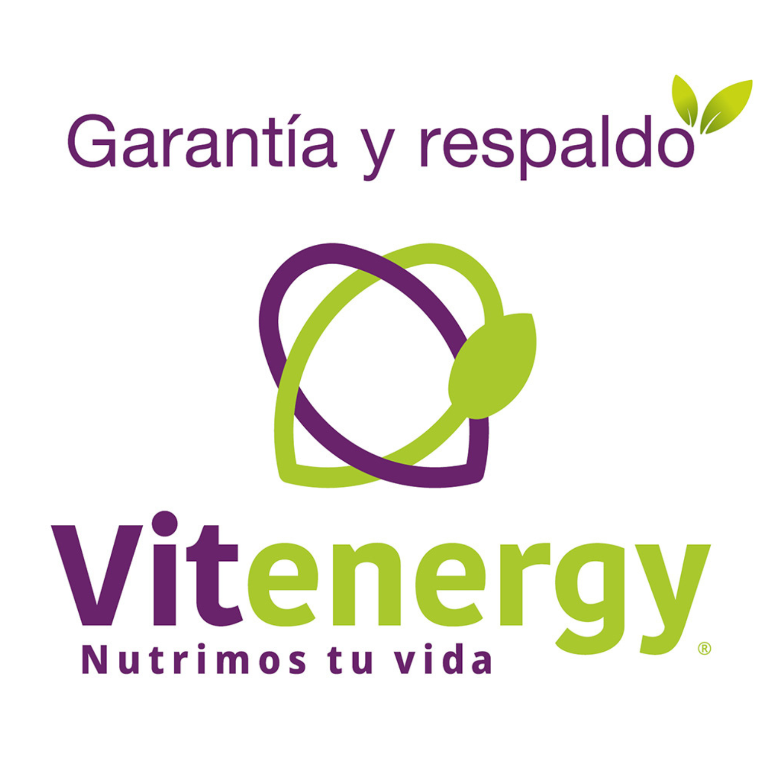 SUPLEMENTO ALIMENTICIO VITENERGY ASHWAGANDHA AFRICAN ROOT 90 CÁPSULAS FNL OFERTA - 4