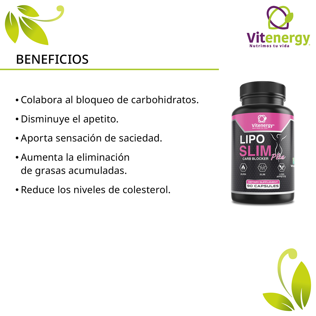 SUPLEMENTO ALIMENTICIO VITENERGY CREATINA + LIPO SLIM BLOQUEADOR CARBOHIDRATOS + LECITINA DE SOYA - 4