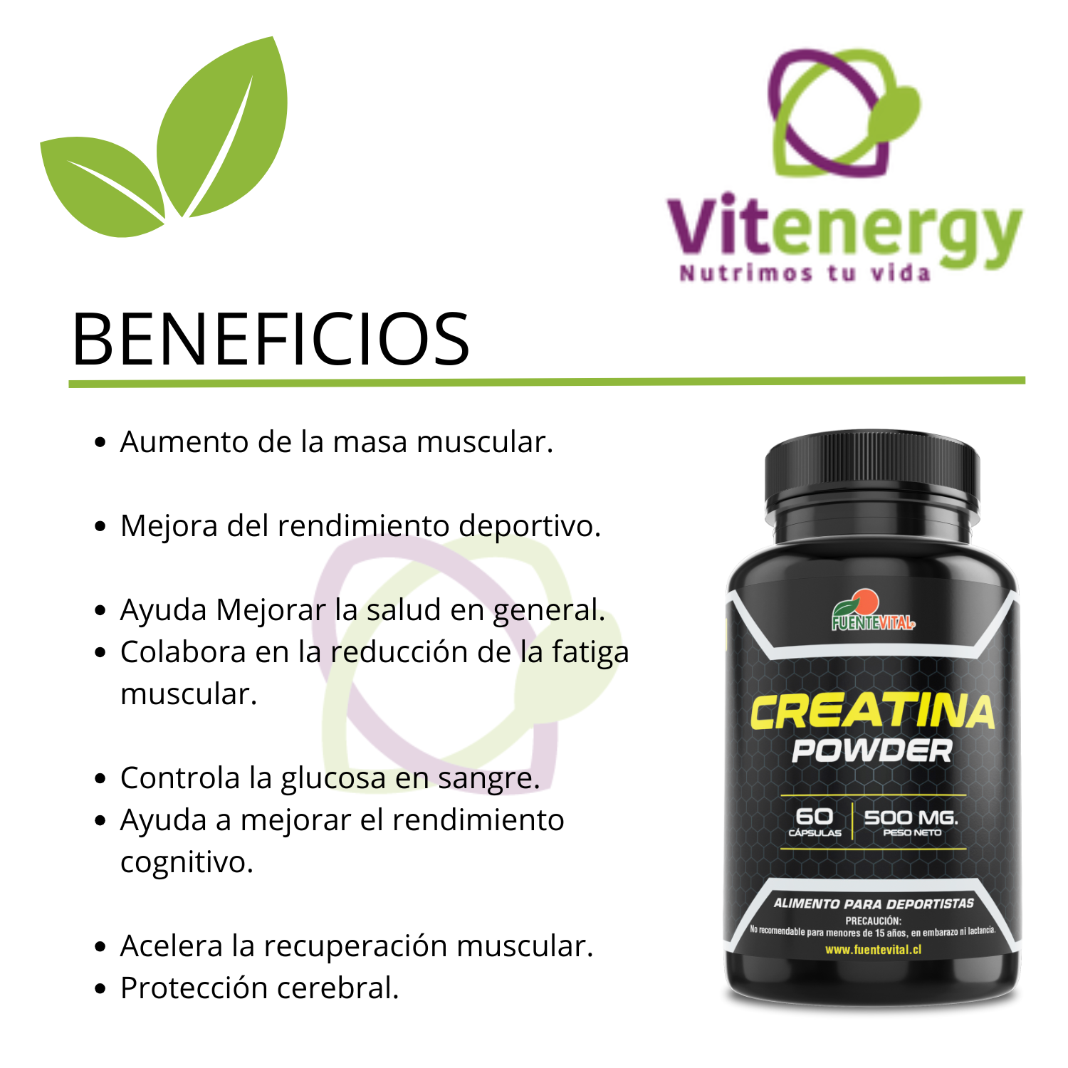 SUPLEMENTO ALIMENTICIO VITENERGY PACKCREATINA MONIHIDRATADA + LIPO SLIM BLOQUEADOR CARBOHIDRATOS - 6