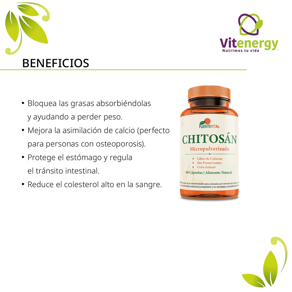 SUPLEMENTO ALIMENTICIO VITENERGY CREATINA CÁPSULA + POMELO + CHITOSÁN - PACK QUEMADOR -OFERTA - 3
