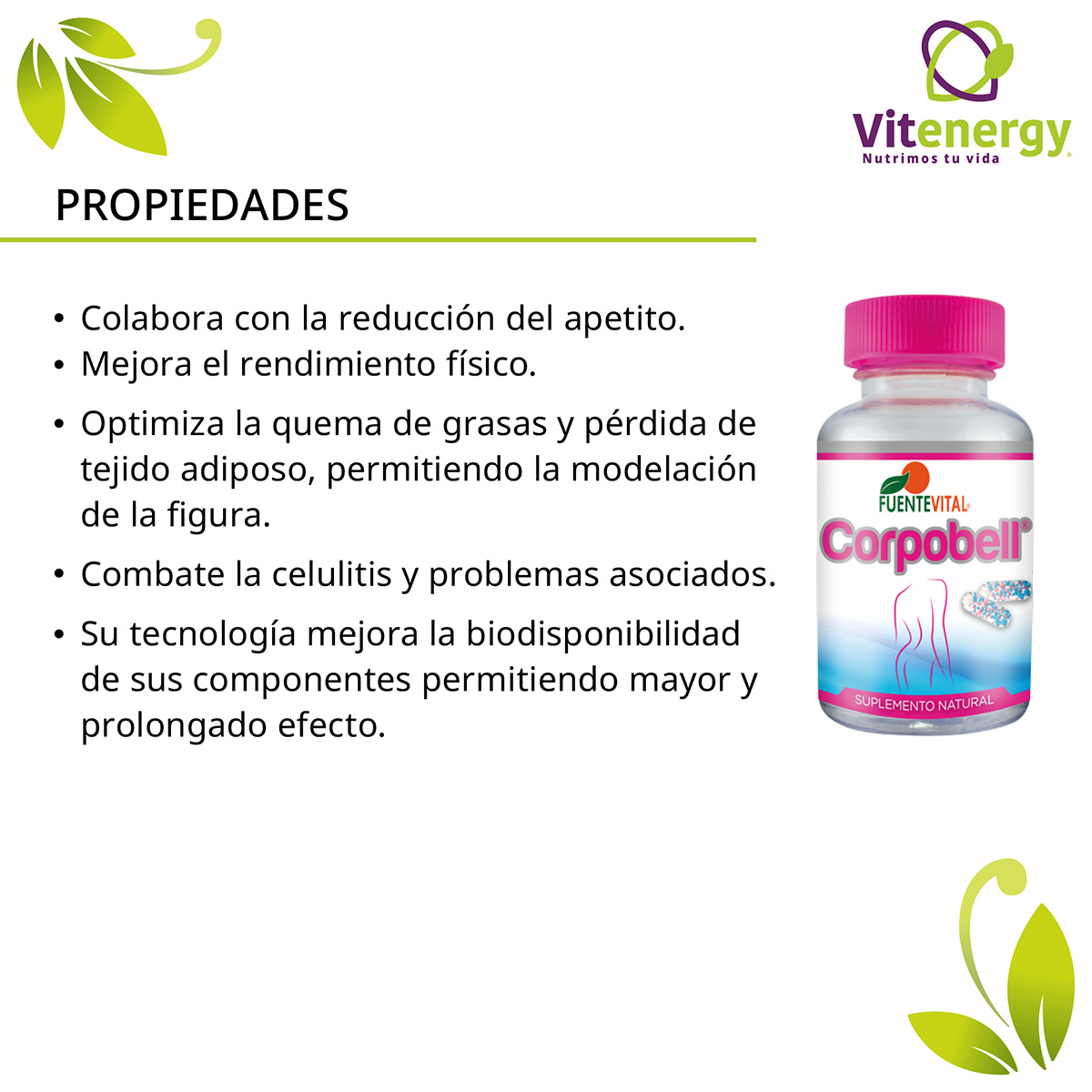 PACK SUPLEMENTO FUENTE VITAL CHITOSAN + ACEITE DE CARTAMO Y SESAMO CORPOBELL - 6