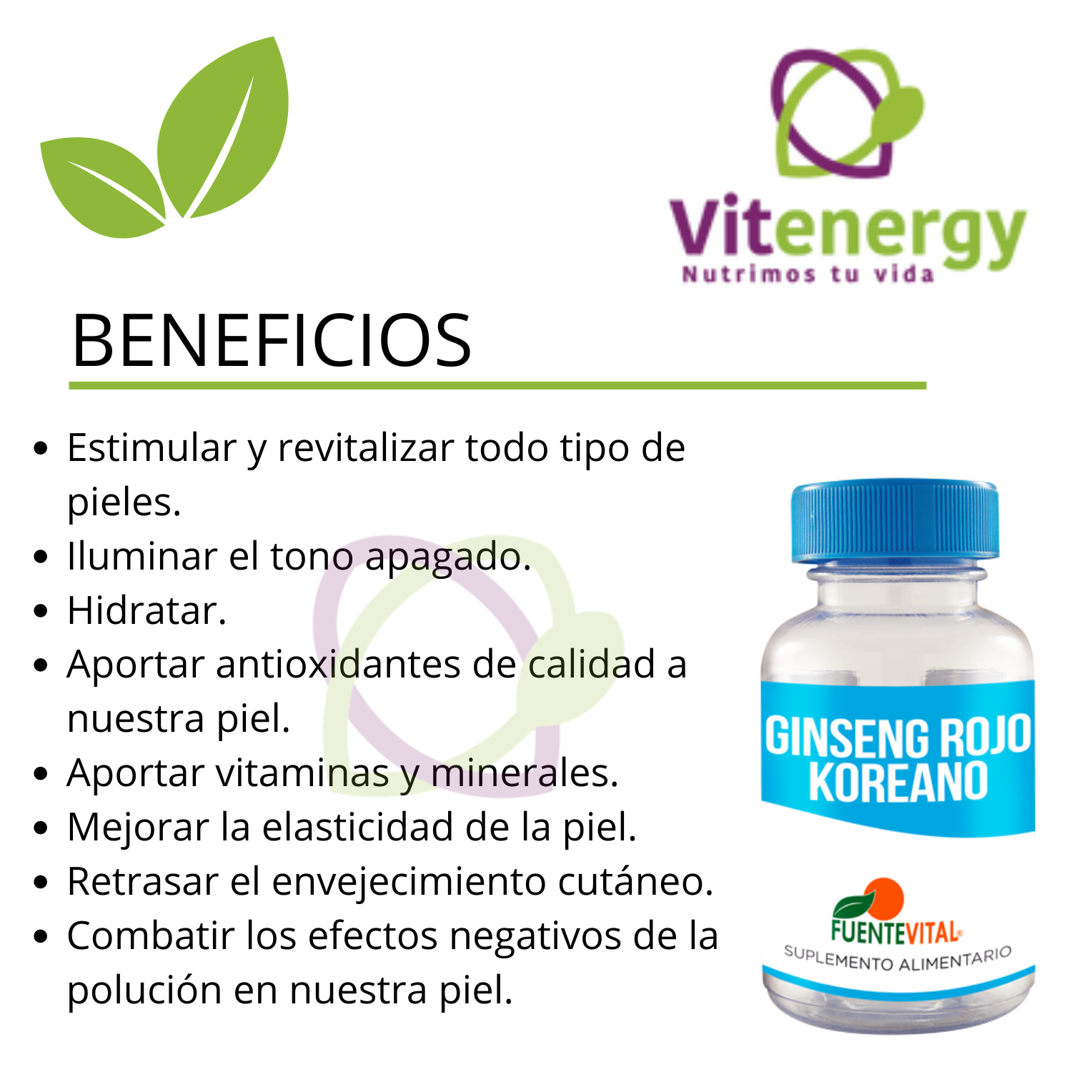 SUPLEMENTO FUENTE VITAL GINSENG ROJO COREANO VEGETAL 500 MG OFERTA X 2 CAPSULAS - 2