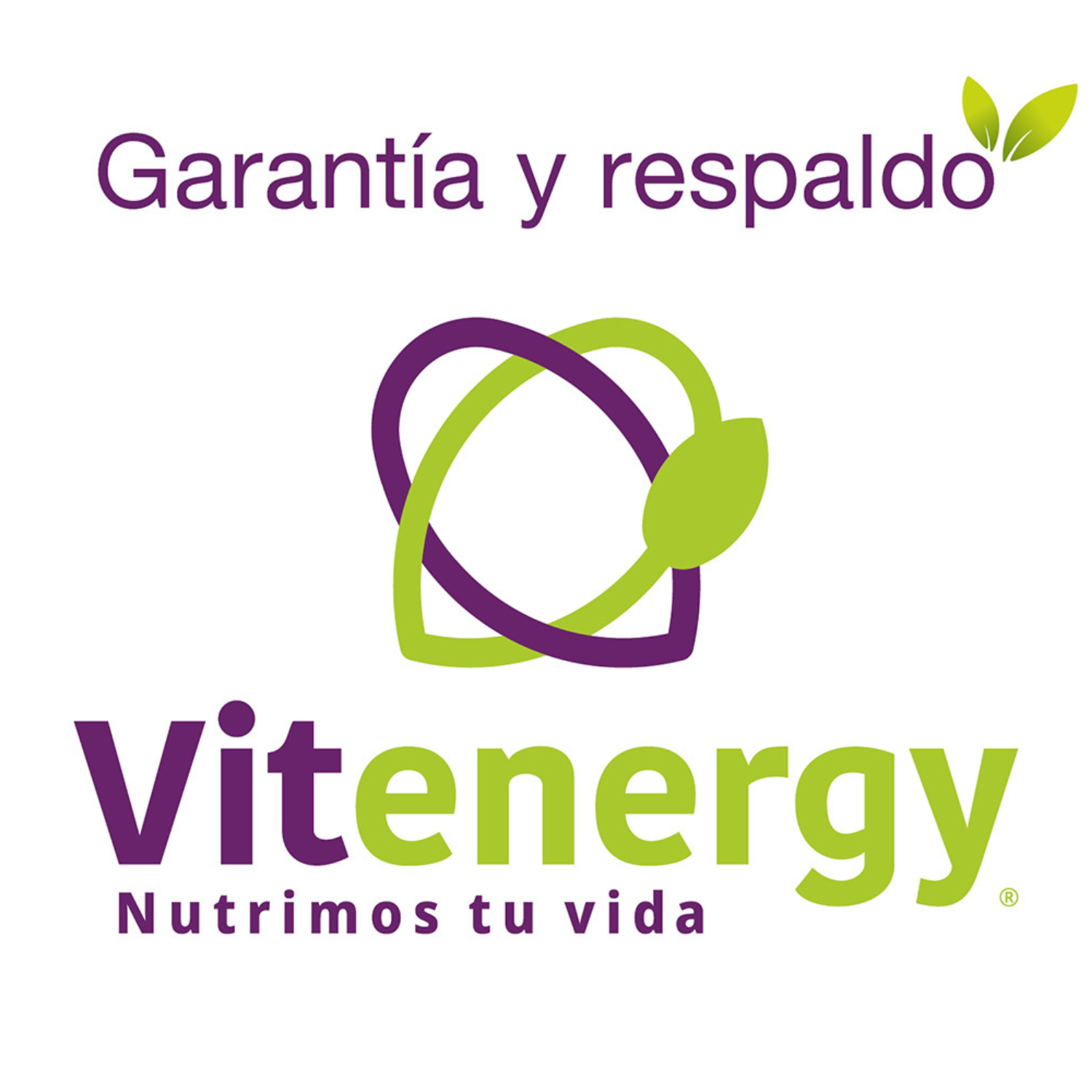 SUPLEMENTO FUENTE VITAL GINSENG ROJO COREANO VEGETAL 500 MG OFERTA X 2 CAPSULAS - 3