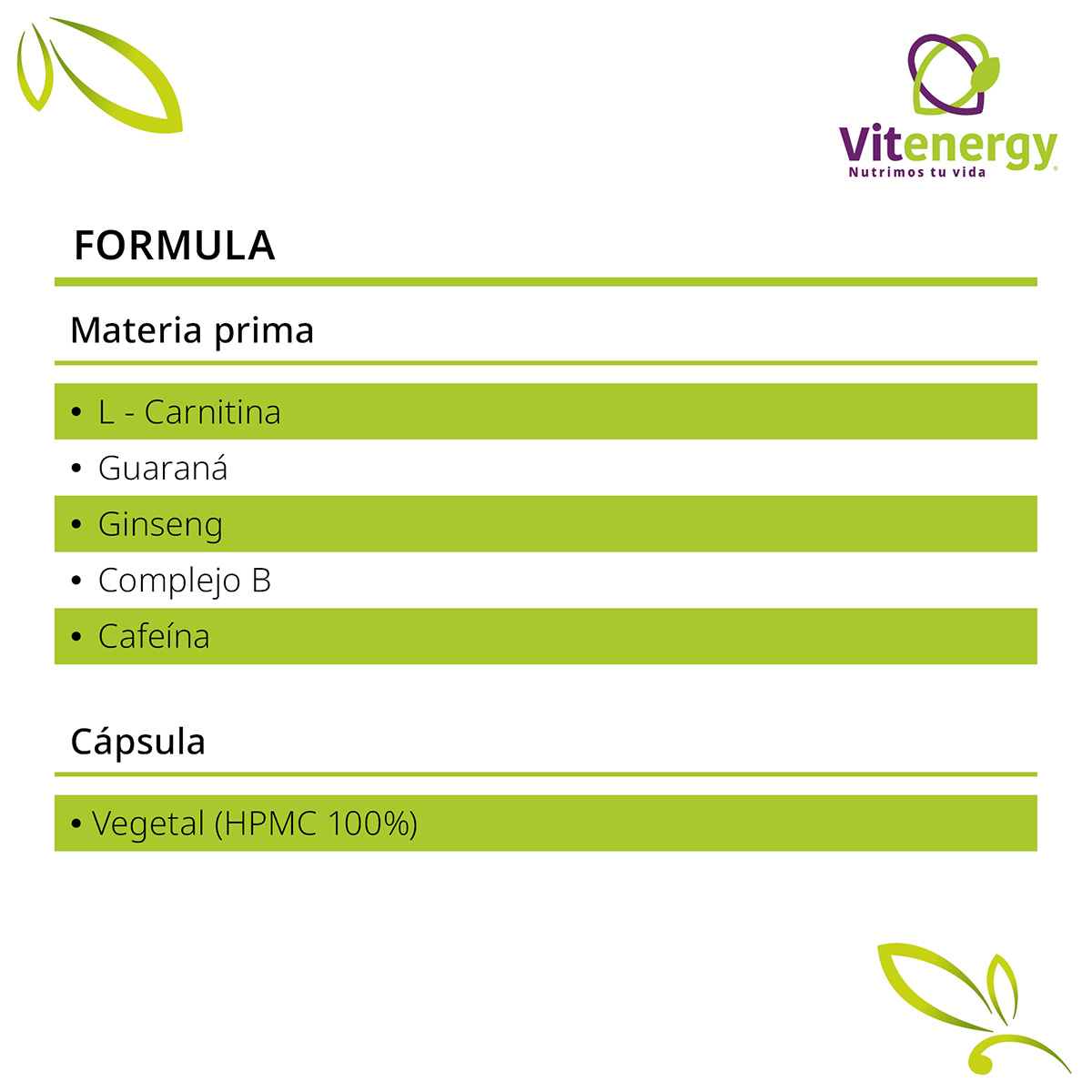 PACK OMEGA 3-6-9 VITENERGY TRIPLE FISH OIL + COMPLEJO B ENERGIZANTE - 9