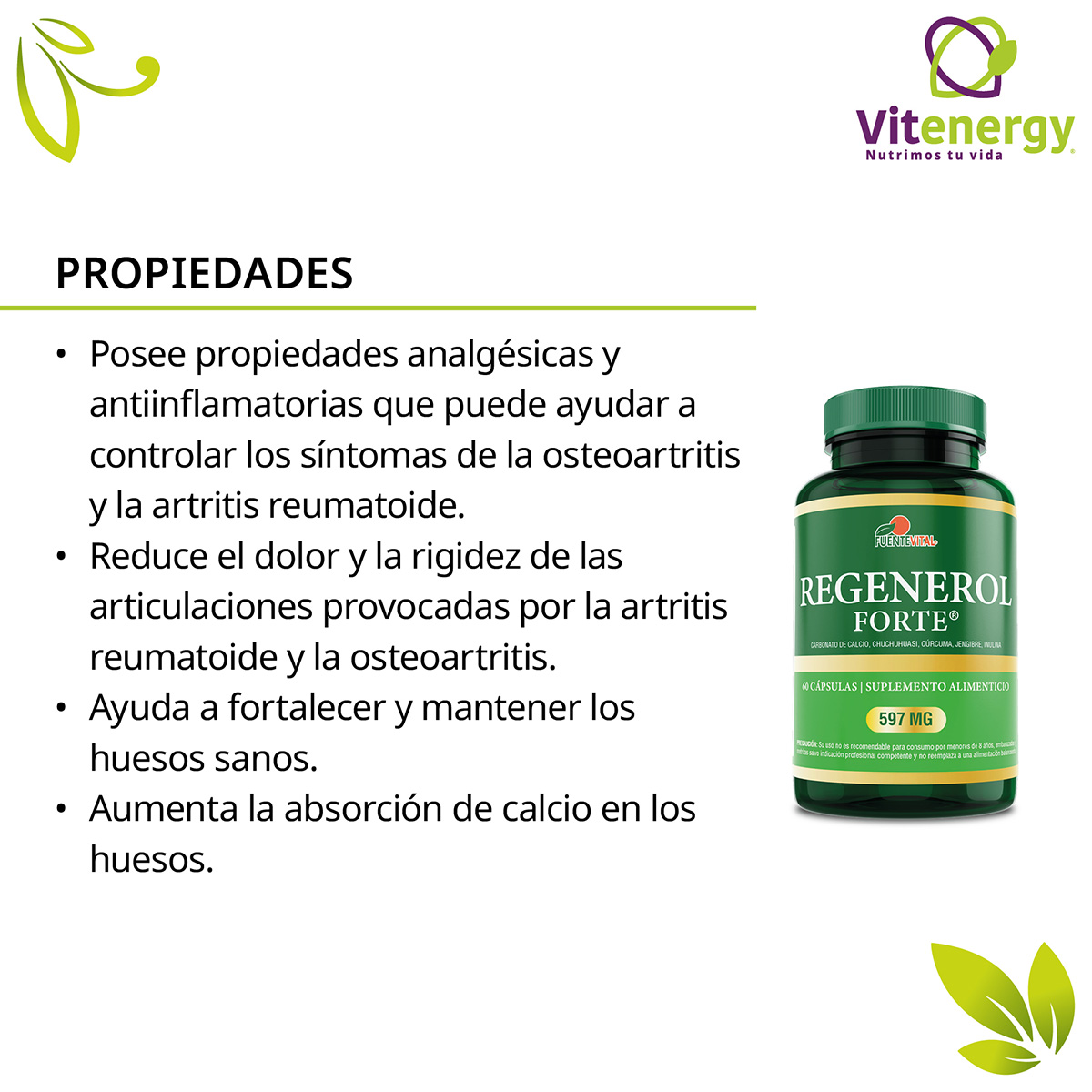 PACK 3 SUPLEMENTO FUENTE VITAL REGENEROL VITAMINAS HUESOS ARTICULACIONES - 2