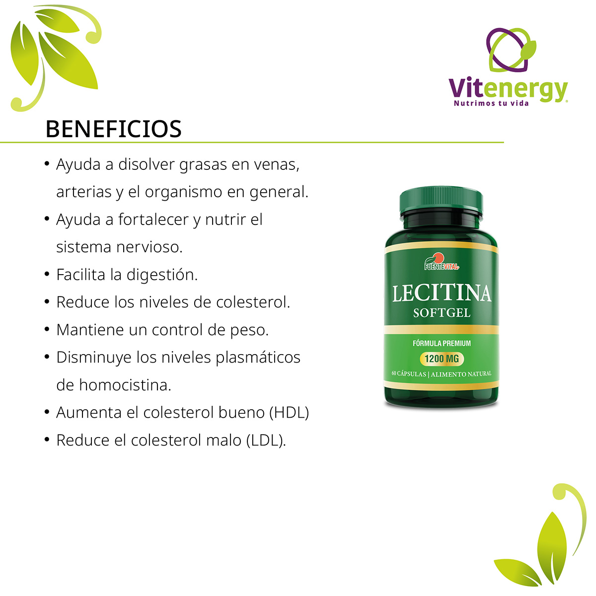 PACK TE VERDE FUENTE VITAL VINAGRE DE MANZANA + LECITINA DE SOYA - 2