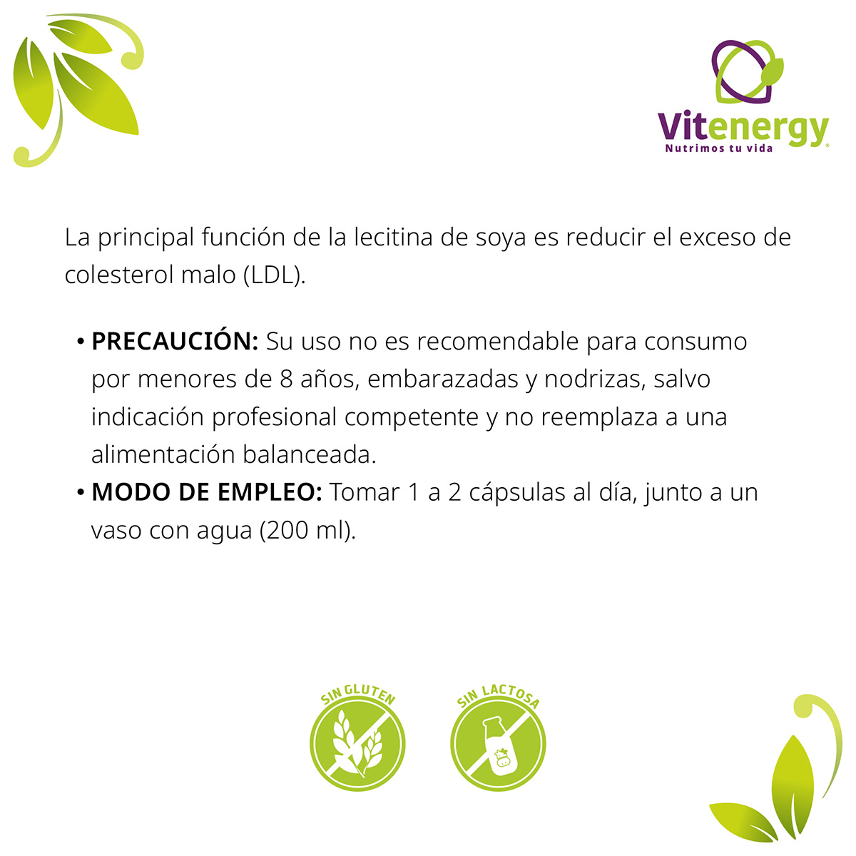 PACK TE VERDE FUENTE VITAL VINAGRE DE MANZANA + LECITINA DE SOYA - 3