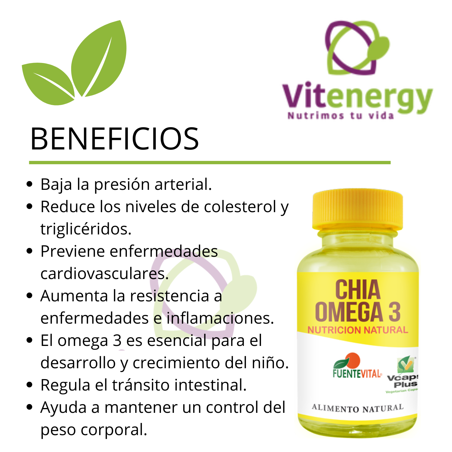 CHIA FUENTE VITAL OMEGA 3 COLESTEROL ESTREÑIMIENTO CAPSULAS - 2