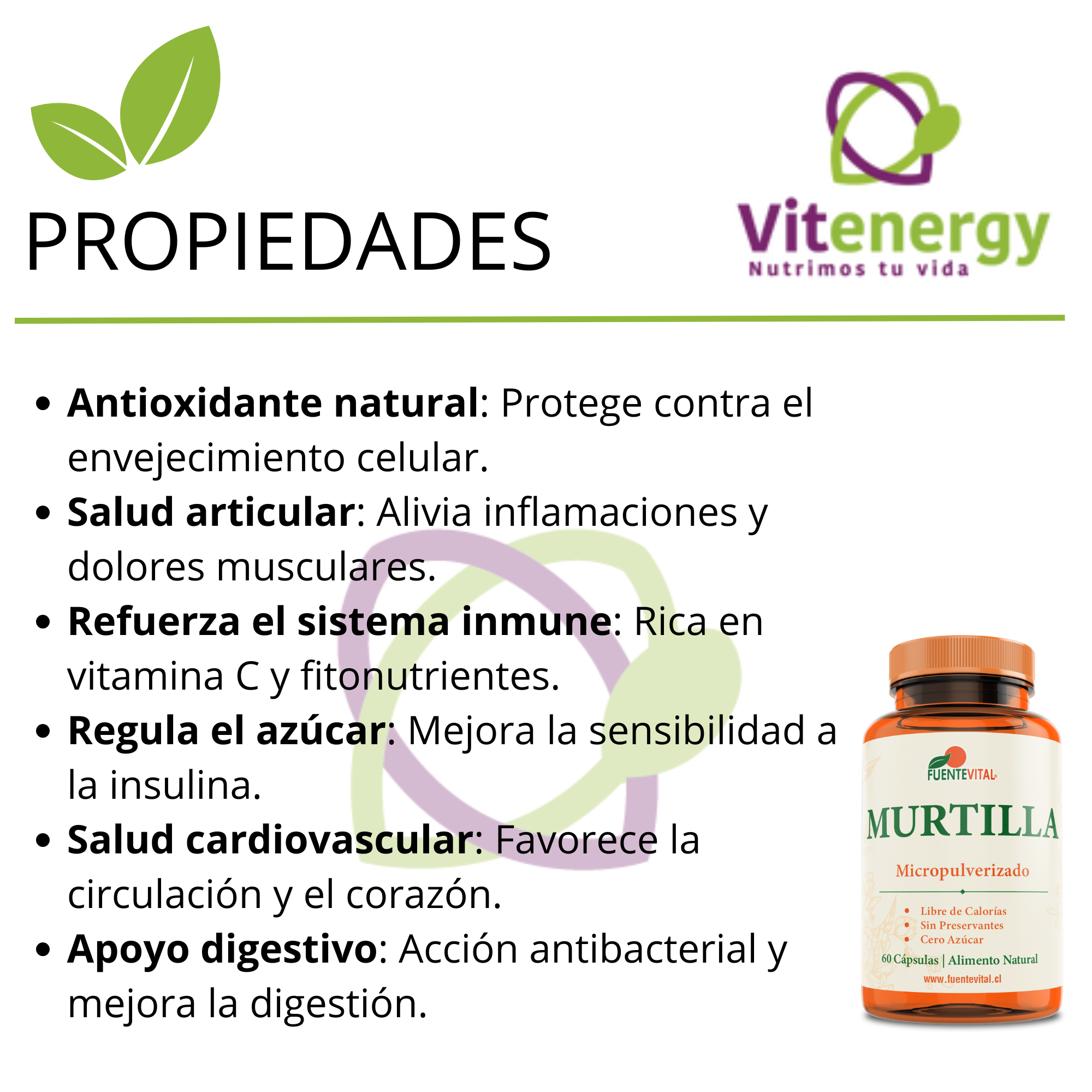 PACK 2 MURTILLA ANTIOXIDANTE FUENTE VITAL PIEL CELULITIS CAPSULAS - 2