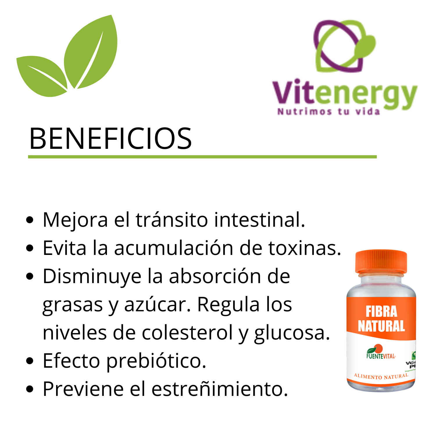 FIBRA FUENTE VITAL NATURAL ESTREÑIMIENTO TRANSITO LENTO LAXANTE X 3 - 2