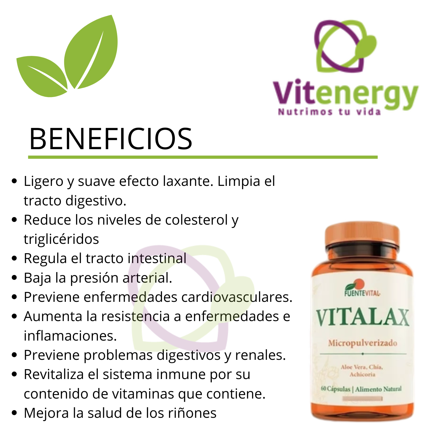 SUPLEMENTO FUENTE VITAL ESTREÑIMIENTO REGULA TRANSITO LENTO LAXANTE VITALAX X 2 - 2