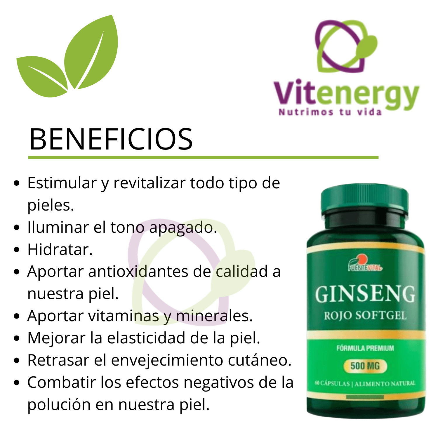 PACK 3 SUPLEMENTO FUENTE VITAL GINSENG ROJO COREANO 720 MG CAPSULA GEL - 2