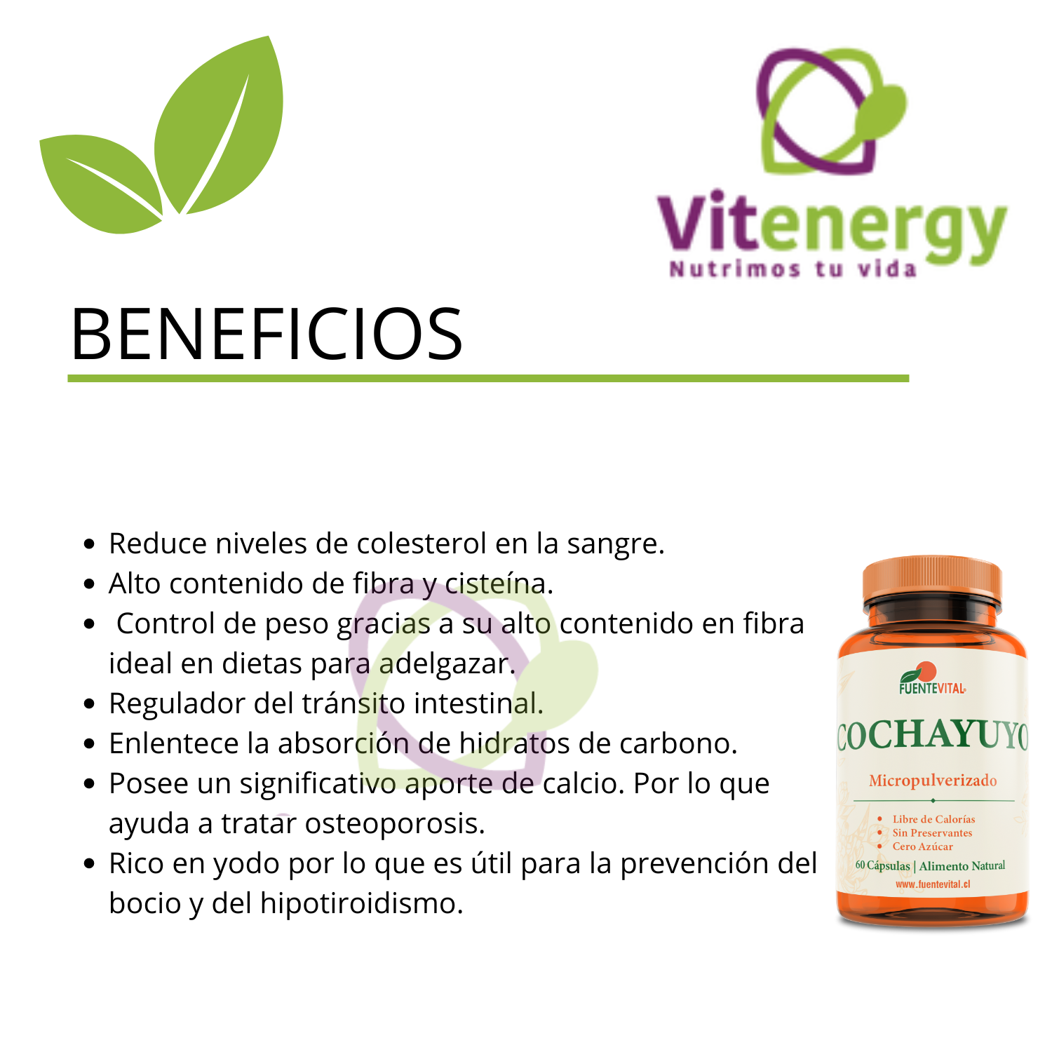 SUPLEMENTO FUENTE VITAL COCHAYUYO 1 MICROPULVERIZADO OFERTA VEGETAL CAPSULAS 60 UN - 2