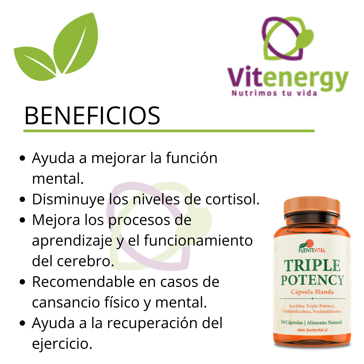 LECITINA TRIPLE POTENCY - FOSFATIDILCOLINA- FOSFATIDILSERINA - 2