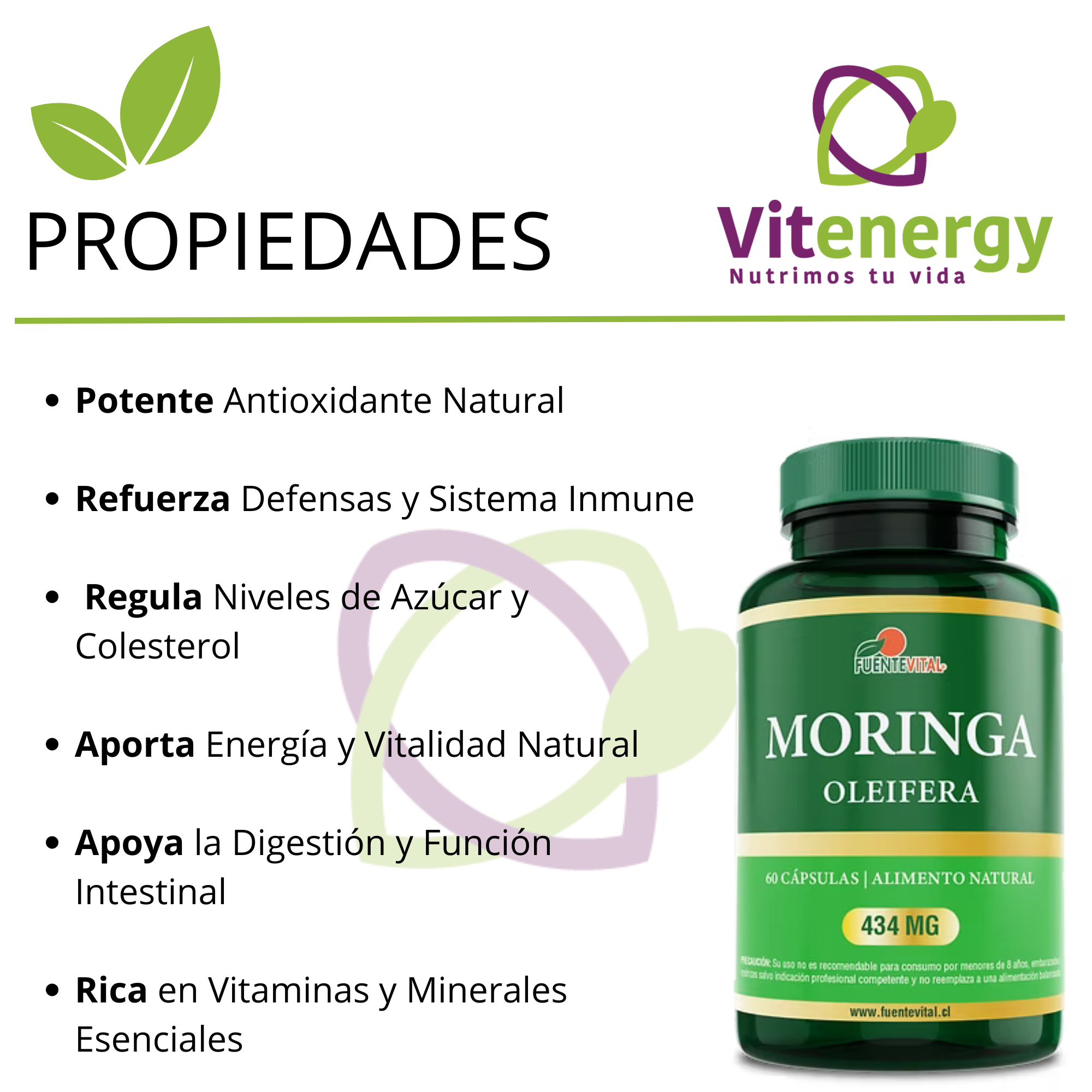 MORINGA 100% CÁPSULAS - ANTIOXIDANTE - SALUD NATURAL - ENERGIZANTE PACK X3 - 2