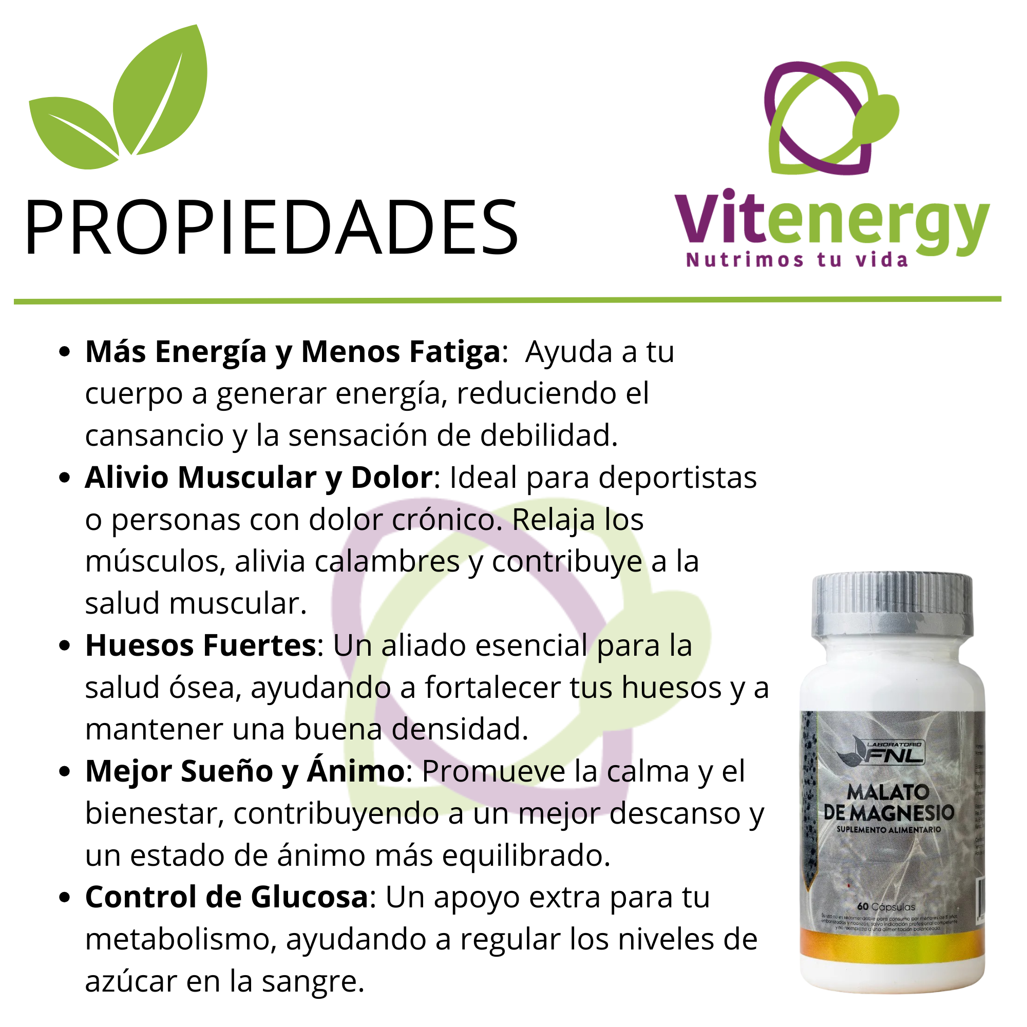 MALATO DE MAGNESIO CAPSULAS 660 MG FNL - PACK X2 - 2