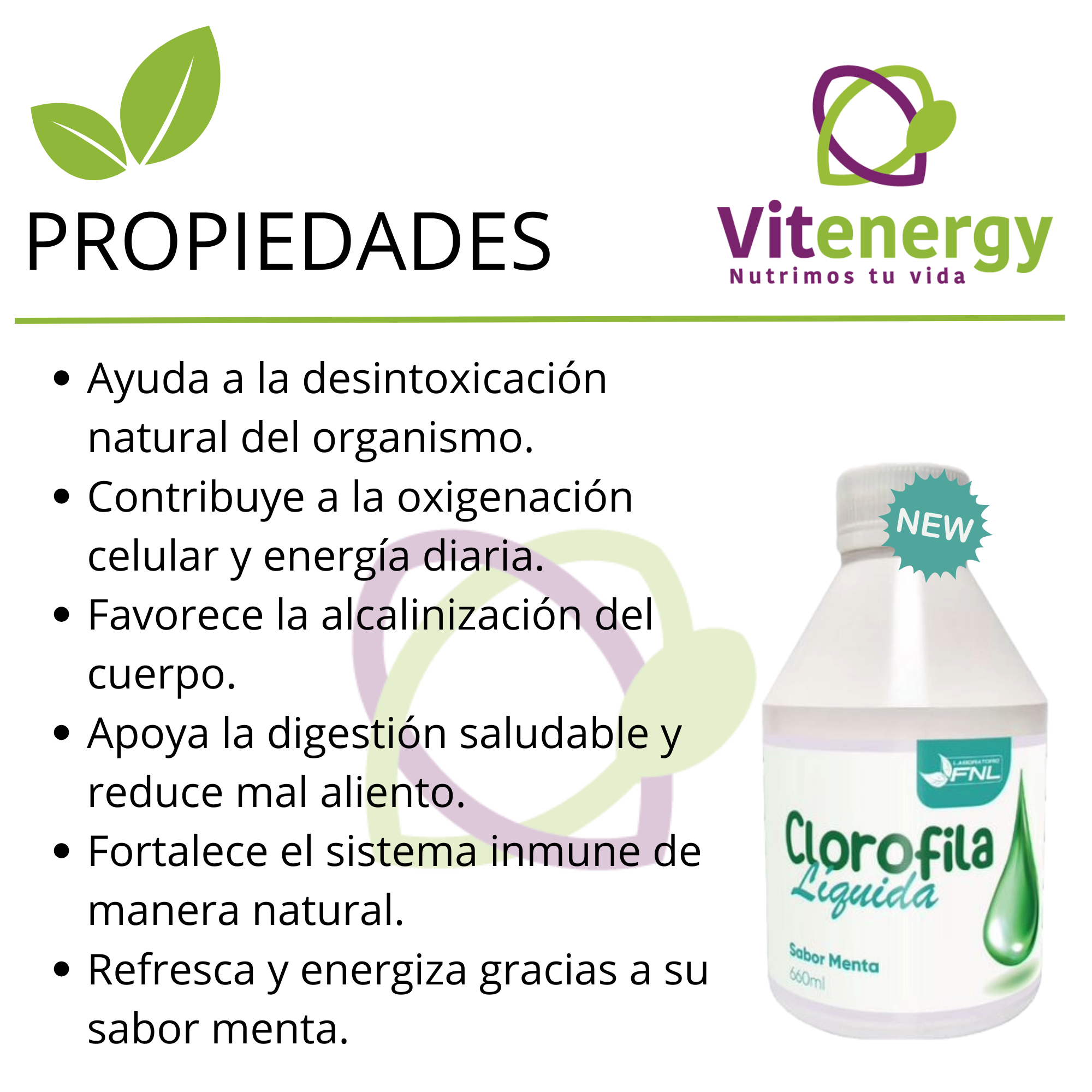 CLOROFILA LIQUIDA 660ML SABOR MENTA FNL DESINTOXICANTE - PACK X3 - 2