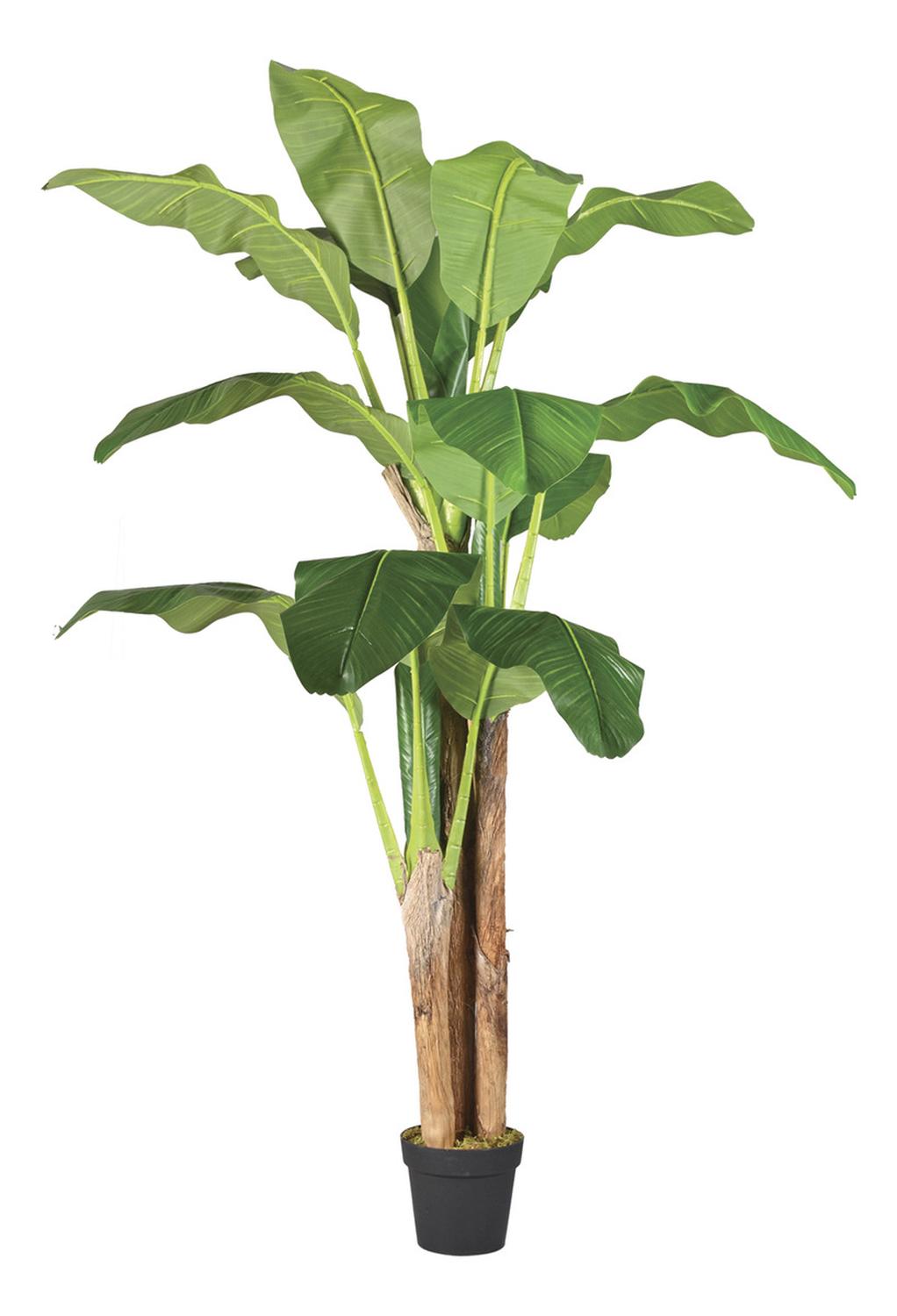 PLANTA ARTIFICIAL DECORATIVA ARBOL GRANDE BANANO 180CM 14HJS - 1