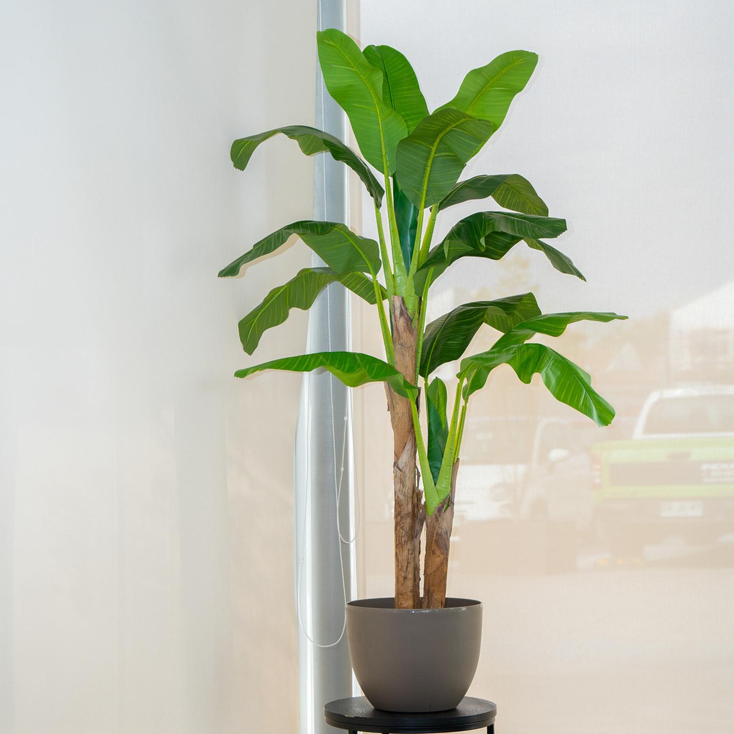 PLANTA ARTIFICIAL DECORATIVA ARBOL GRANDE BANANO 180CM 14HJS - 2