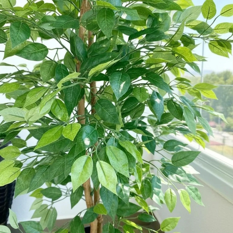 PLANTA ARTIFICIAL DECORATIVA ARBOL GRANDE FICUS 160CM 1008H - 5