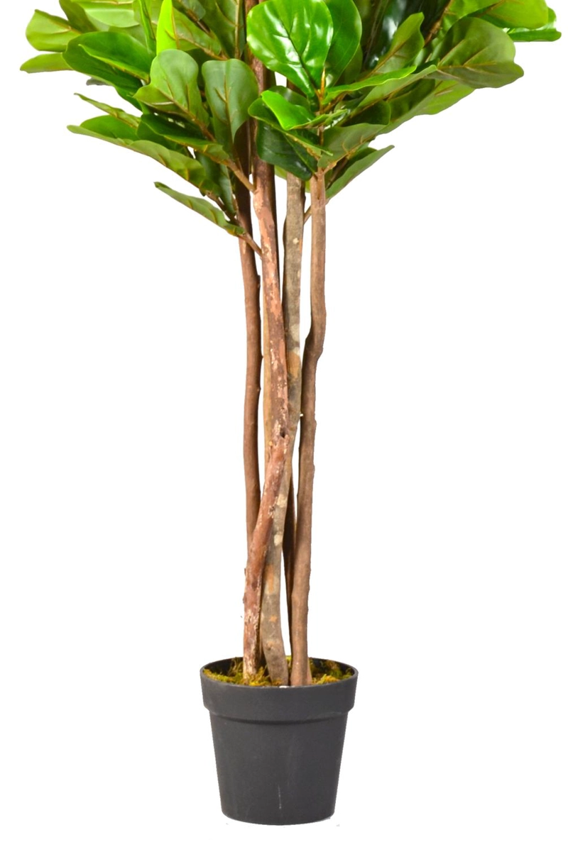 PLANTA ARTIFICIAL DECORATIVA ARBOL GRANDE FICUS LYRATA 180C - 6