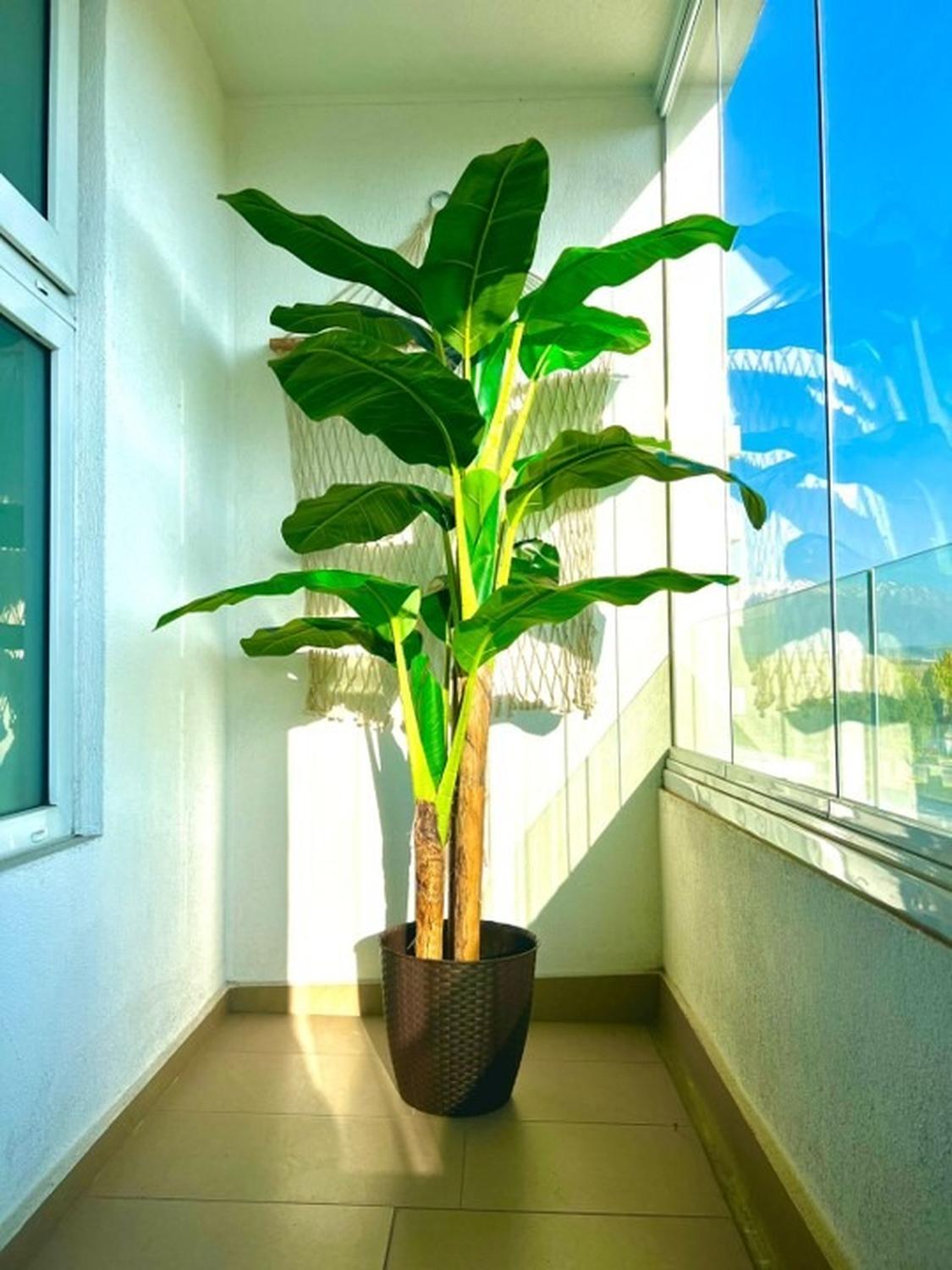 MACETERO RATTAN 30 CM L CAFE  / ARBUSTO REAL - 4
