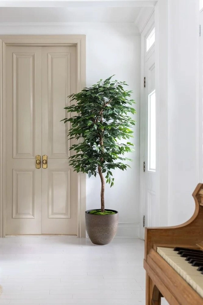 PLANTA ARTIFICIAL DECORATIVA ARBOL GRANDE FICUS 180CM 1260H - 5
