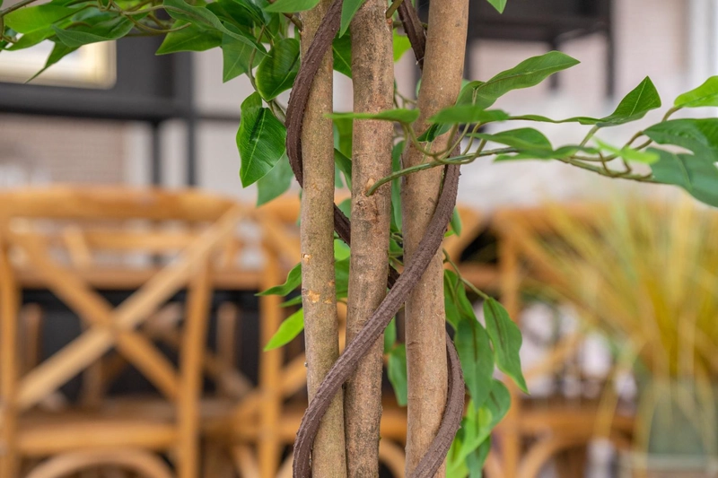 PLANTA ARTIFICIAL DECORATIVA ARBOL GRANDE FICUS 180CM 1260H - 6
