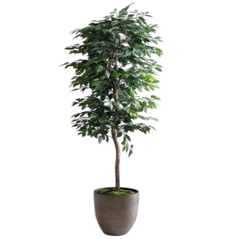 PLANTA ARTIFICIAL DECORATIVA ARBOL GRANDE FICUS 180CM 1260H - 9
