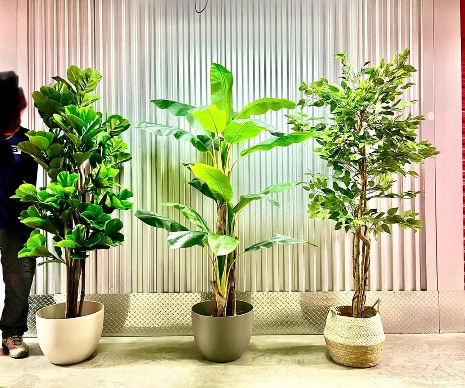 PLANTA ARTIFICIAL DECORATIVA ARBOL GRANDE BANANO 120CM 12HJS - 5