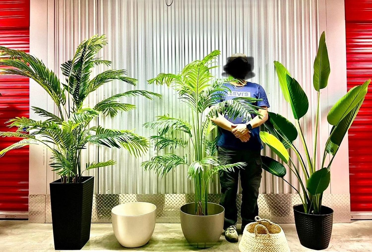 PLANTA ARTIFICIAL DECORATIVA ARBOL GRANDE BANANO 120CM 12HJS - 6
