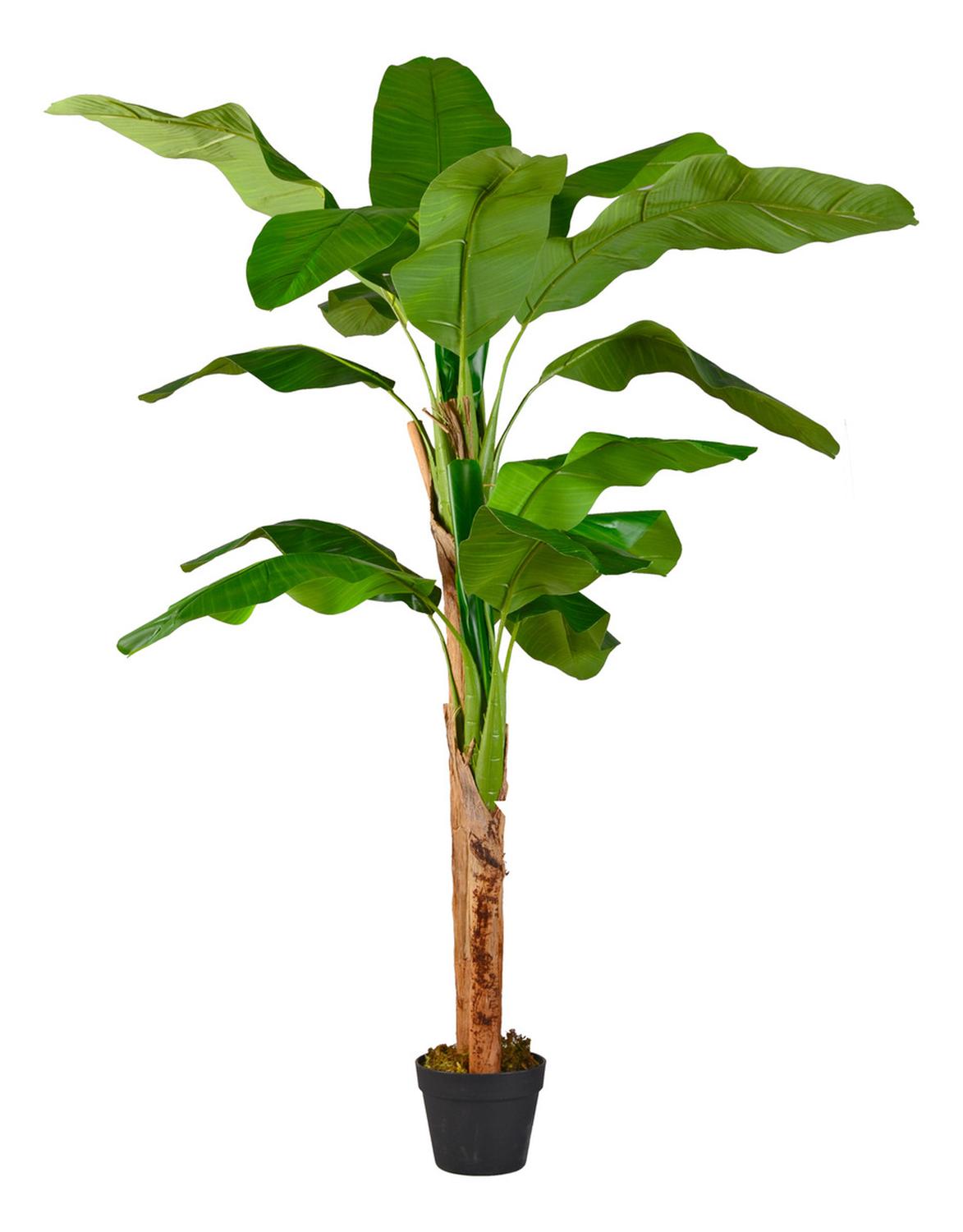 PLANTA ARTIFICIAL DECORATIVA ARBOL GRANDE BANANO 160CM 15HJ
