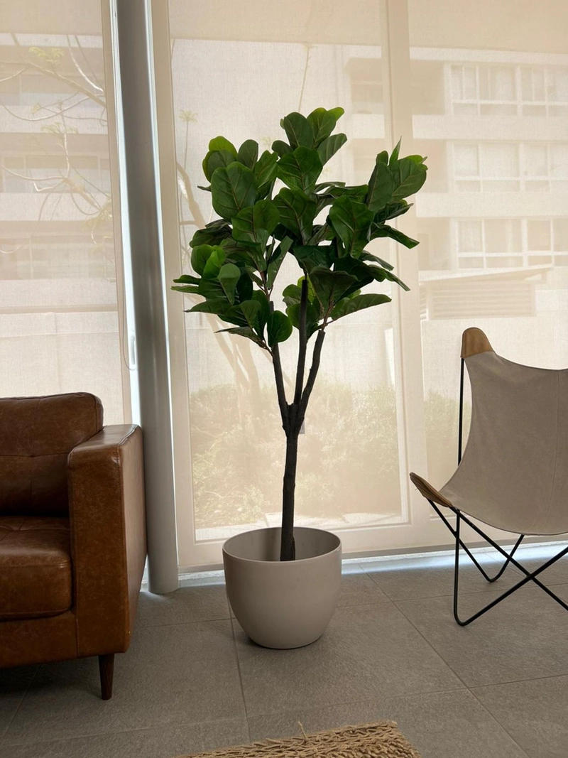 PLANTA ARTIFICIAL DECORATIVA ARBOL GRANDE FICUS LYRATA 180C - 4