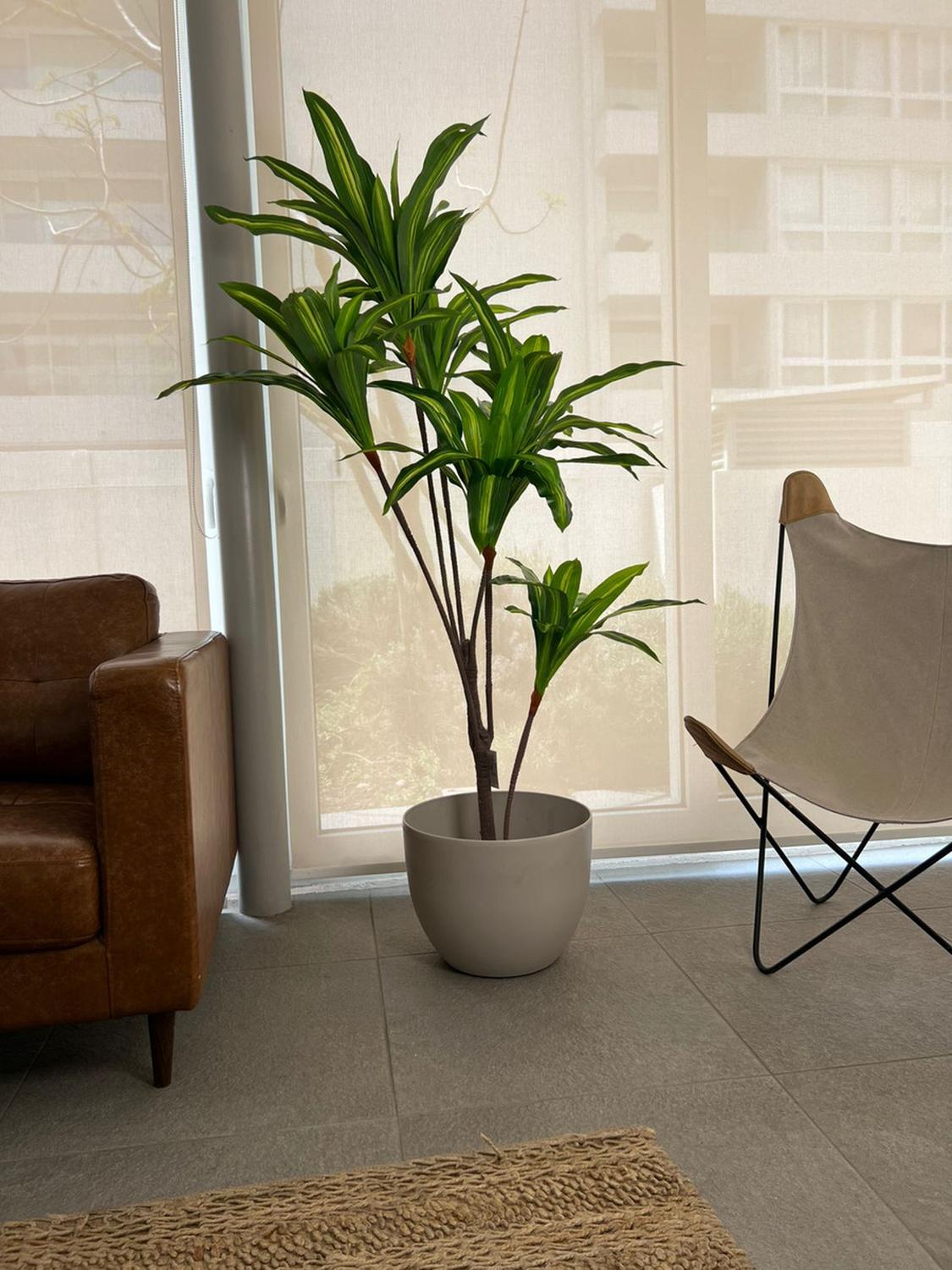 PLANTA ARTIFICIAL DECORATIVA ARBOL GRANDE DRACAENA 165 CM - 3