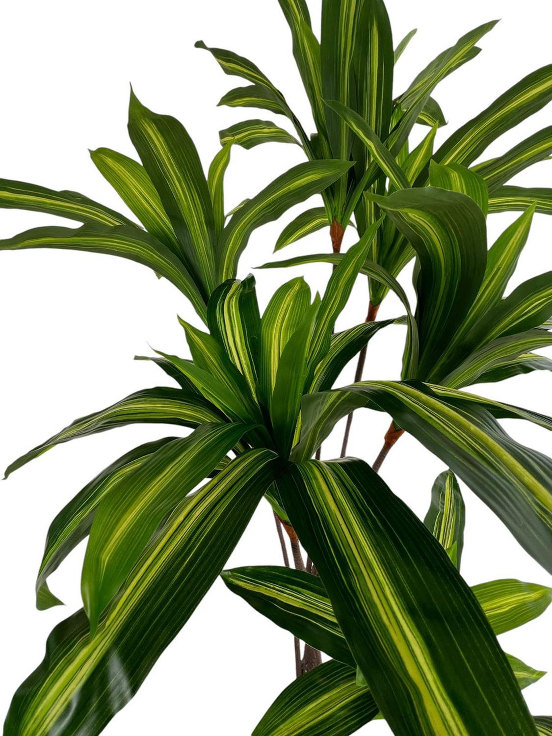 PLANTA ARTIFICIAL DECORATIVA ARBOL GRANDE DRACAENA 165 CM - 5
