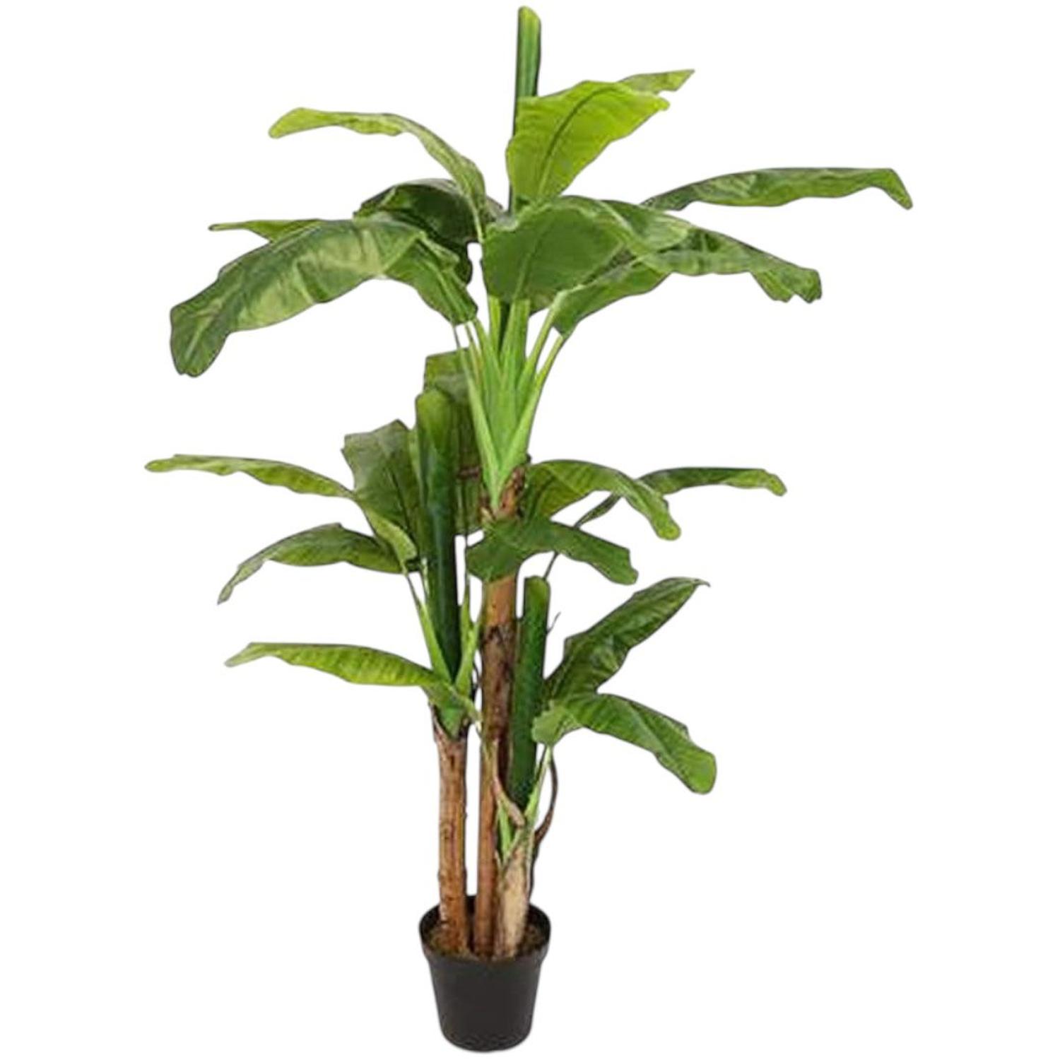 PLANTA ARTIFICIAL DECORATIVA ARBOL GRANDE BANANO 230CM 26HJS - 1