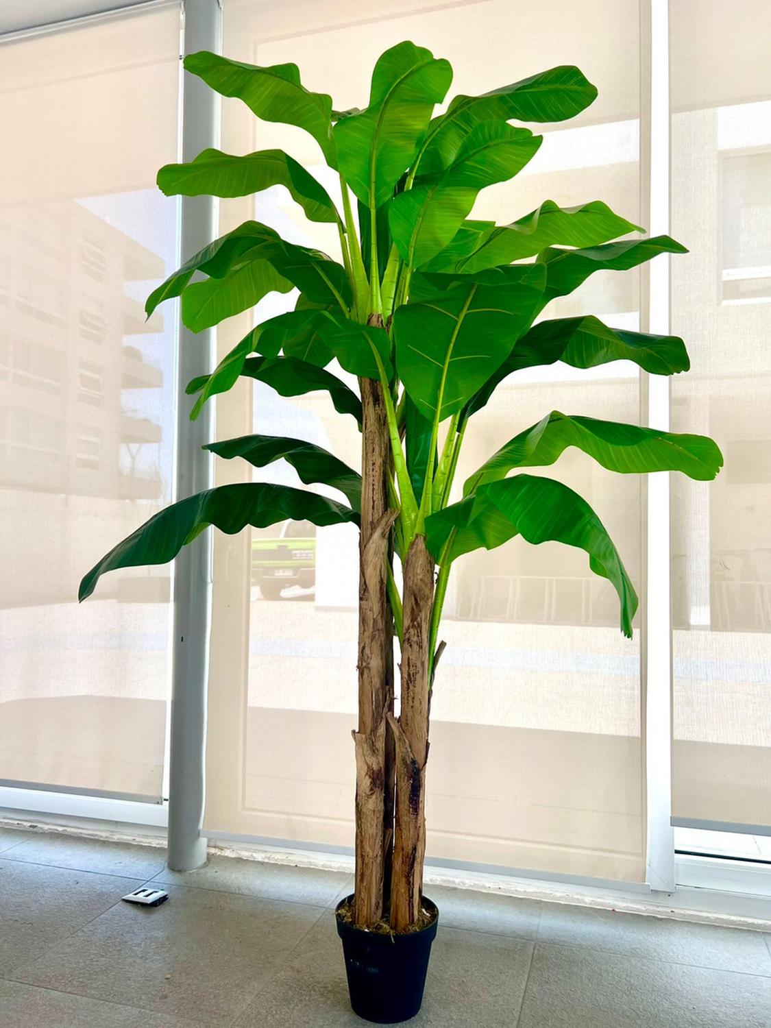PLANTA ARTIFICIAL DECORATIVA ARBOL GRANDE BANANO 230CM 26HJS - 2