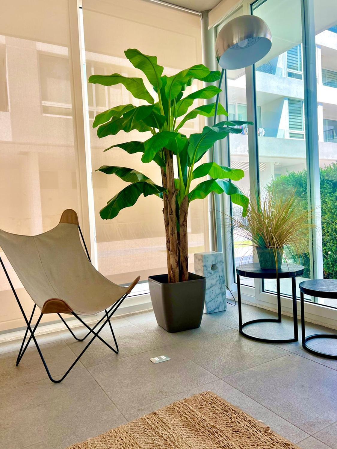 PLANTA ARTIFICIAL DECORATIVA ARBOL GRANDE BANANO 230CM 26HJS - 3