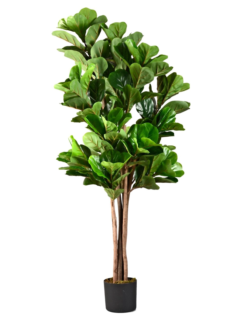 PLANTA ARTIFICIAL DECORATIVA ARBOL GRANDE FICUS LYRATA 180 CM - 4