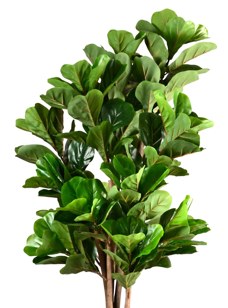 PLANTA ARTIFICIAL DECORATIVA ARBOL GRANDE FICUS LYRATA 180 CM - 5
