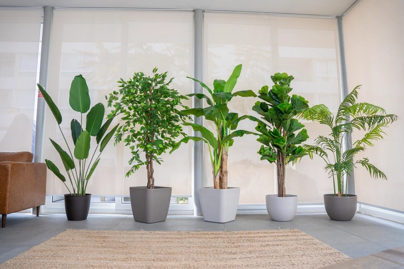 PLANTA ARTIFICIAL DECORATIVA ARBOL GRANDE FICUS LYRATA 180 CM - 7
