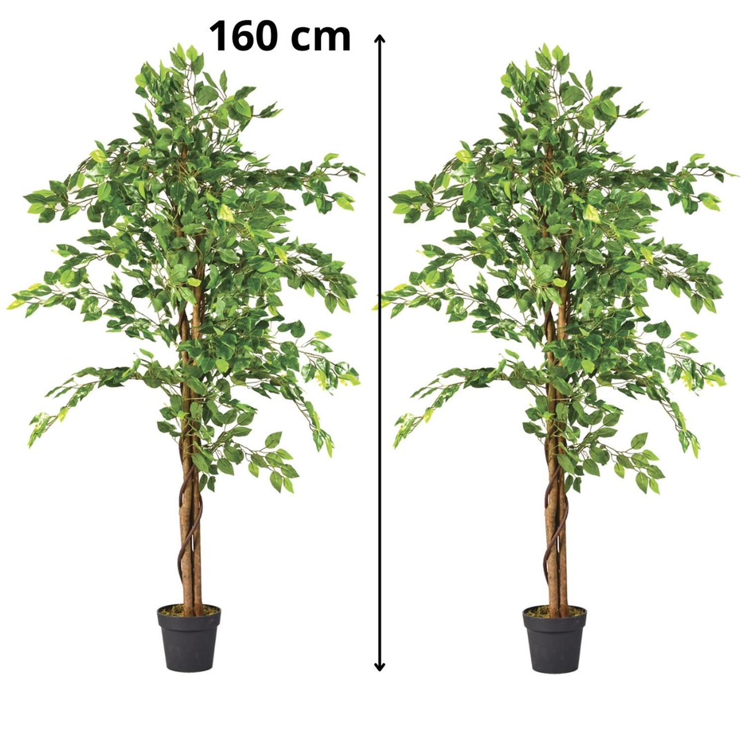 PLANTA ARTIFICIAL DECORATIVA ARBOL GRANDE PACK FICUS 160CM - 3