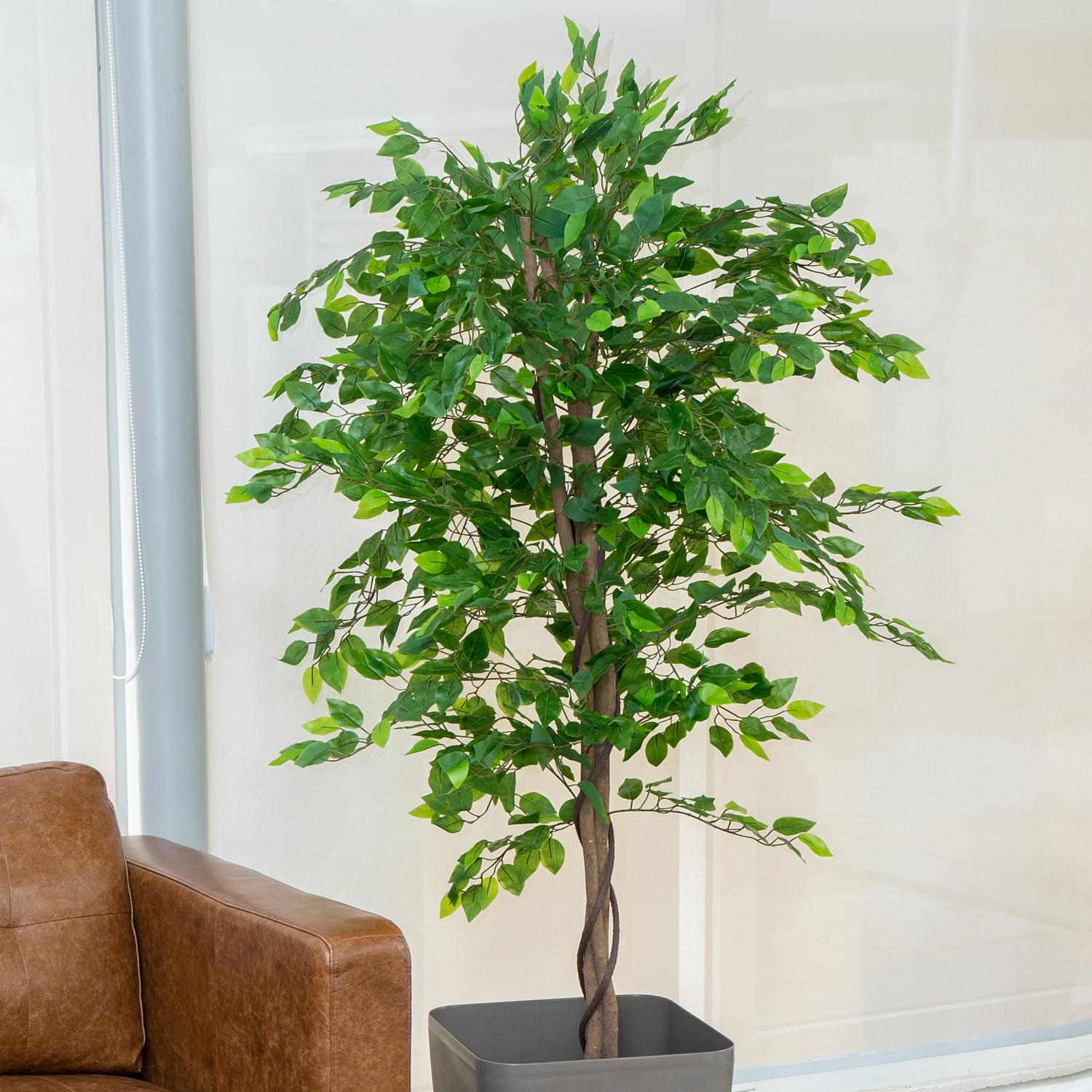 PLANTA ARTIFICIAL DECORATIVA ARBOL GRANDE PACK FICUS 160CM - 6