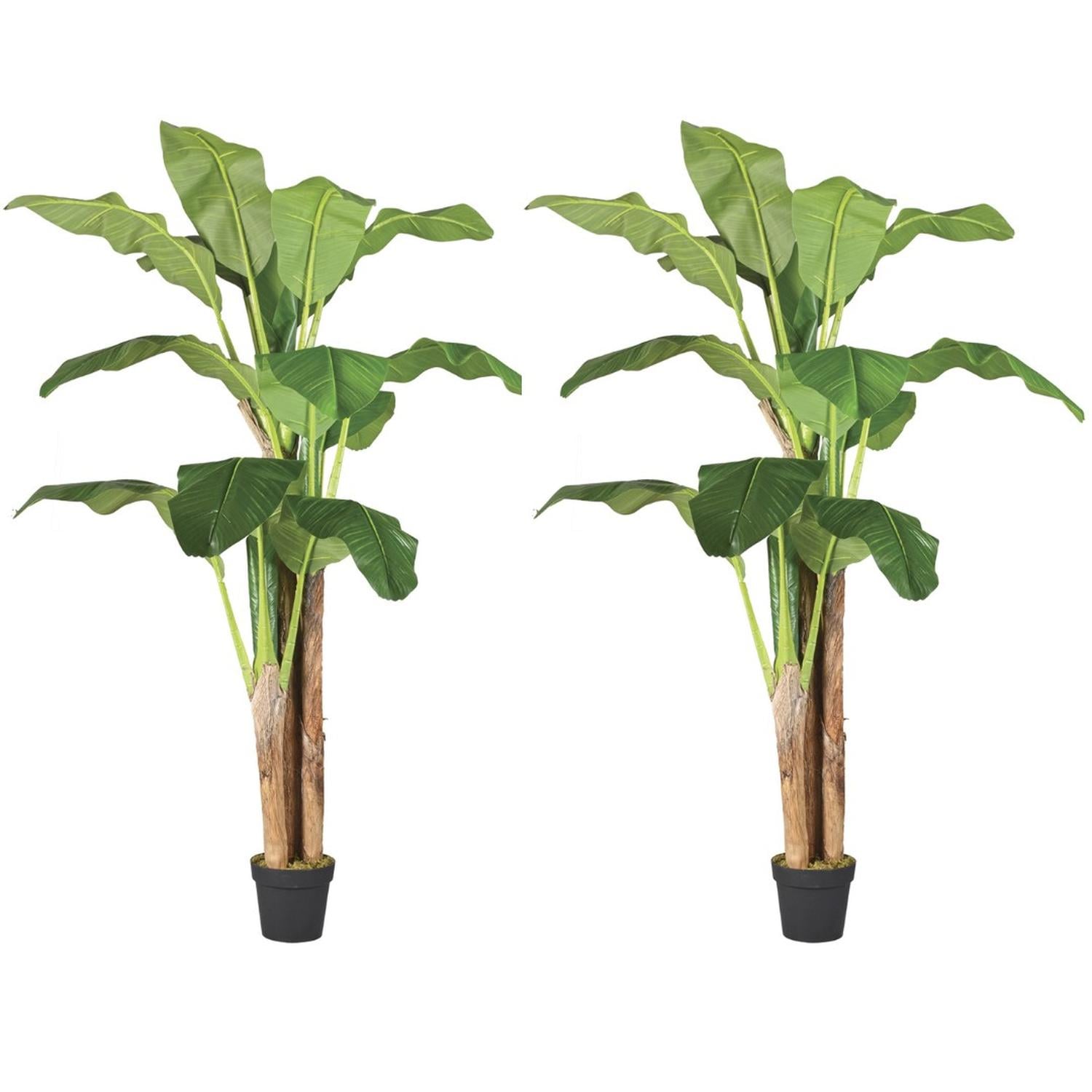 PLANTA ARTIFICIAL DECORATIVA ARBOL GRANDE PACK BANANO 180CM - 1
