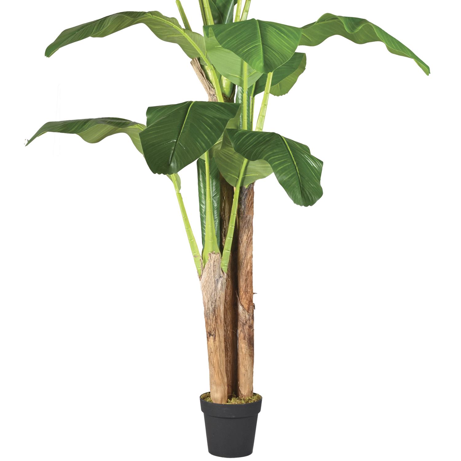 PLANTA ARTIFICIAL DECORATIVA ARBOL GRANDE PACK BANANO 180CM - 6