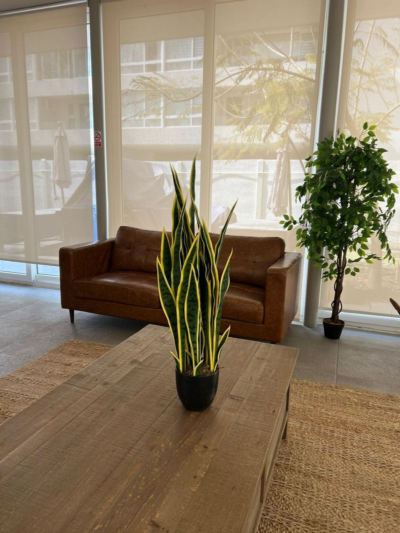 DECORACION INTERIOR PLANTA ARTIFICIAL LENGUA DE SUEGRA SANSEVIERIA TAMAÑO MEDIANO - 3