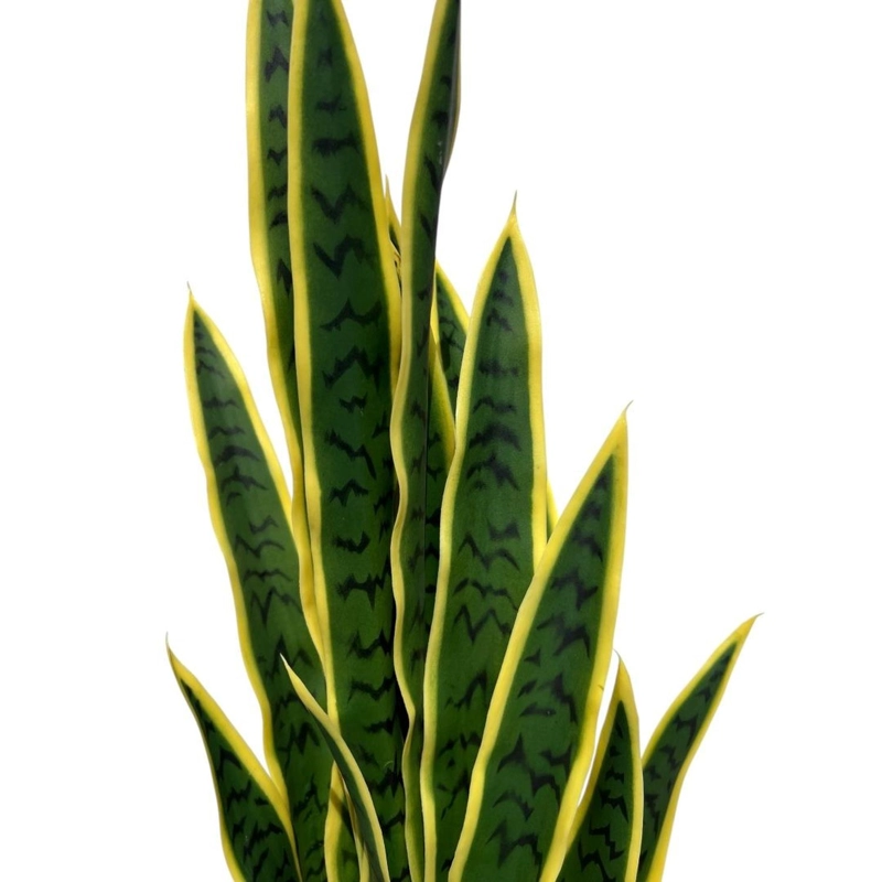 DECORACION INTERIOR PLANTA ARTIFICIAL LENGUA DE SUEGRA SANSEVIERIA TAMAÑO MEDIANO - 7
