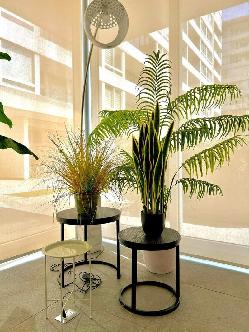 DECORACION INTERIOR PLANTA ARTIFICIAL LENGUA DE SUEGRA SANSEVIERIA TAMAÑO MEDIANO - 8