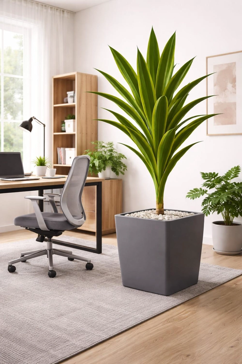 DRACAENA ARTIFICIAL GRANDE 160 CM PLANTA DECORATIVA INTERIOR - 3